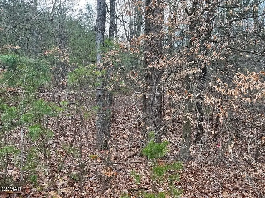 30 Blue Springs Way, Newport, TN 37821 - #3