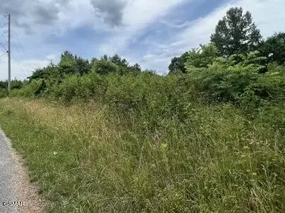 0 Saddleridge Drive, Speedwell, TN 37870
