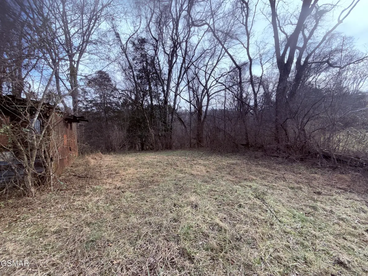 0 Chickory Road, Newport, TN 37821 - #1