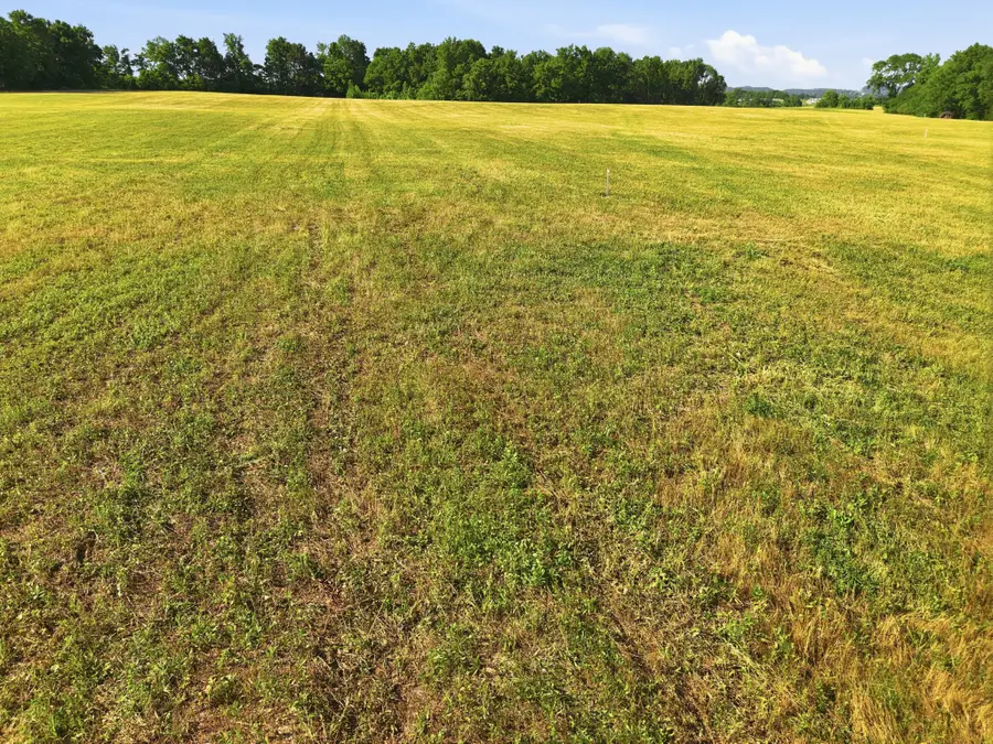 0 Ben Armstrong Road, Castalian Springs, TN 37031 - #2