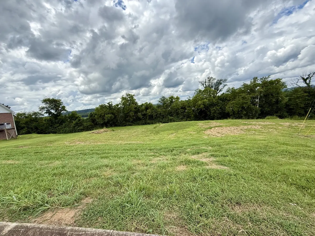 117 Stonecreek Dr, Pulaski, TN 38478 - #1