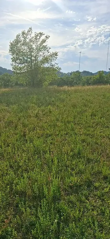 1325 Bellshire Dr, Nashville, TN 37207 - #2