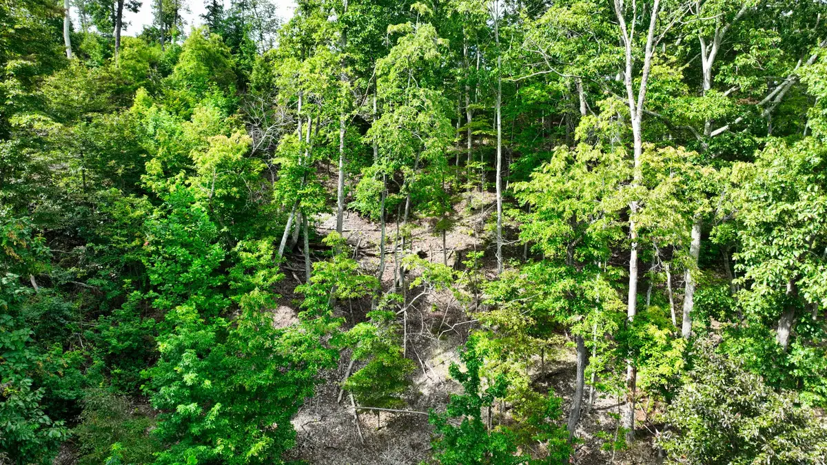 57 Ridge Top Rd, Stewart, TN 37175 - #1