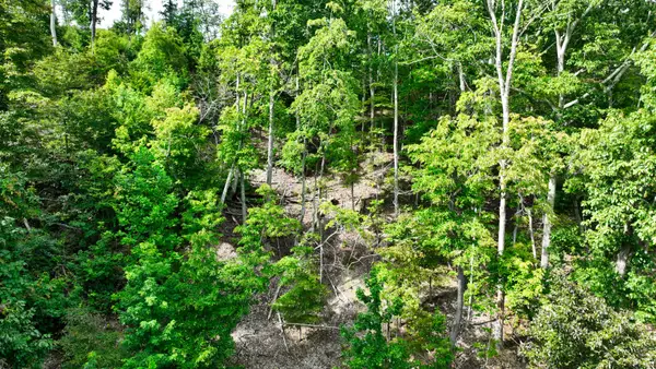 57 Ridge Top Rd, Stewart, TN 37175