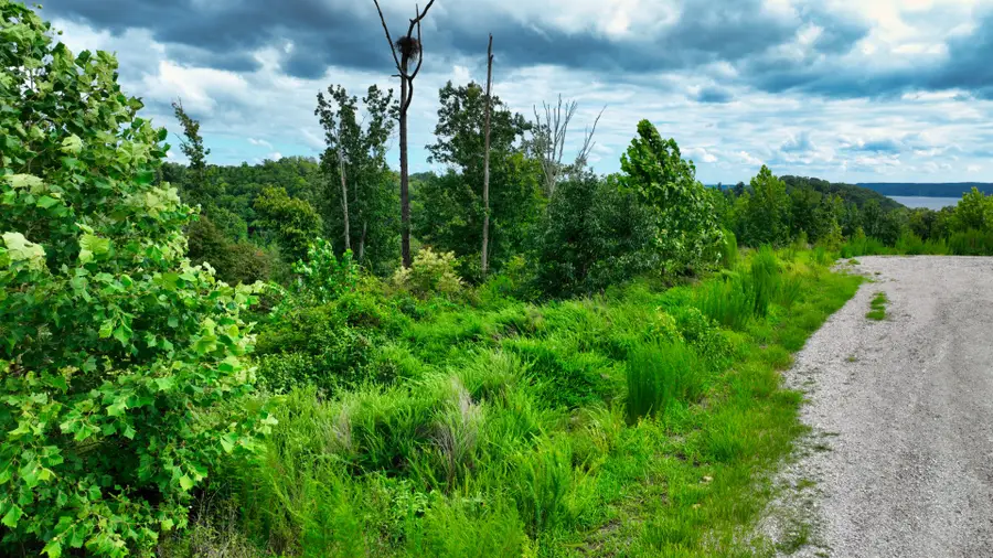58 Ridge Top Rd, Stewart, TN 37175 - #3