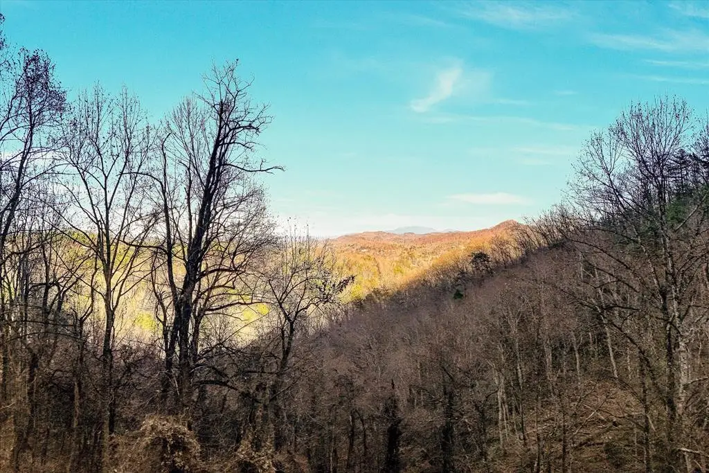 67 Balsam Slopes Road, Sevierville, TN 37862 - #1