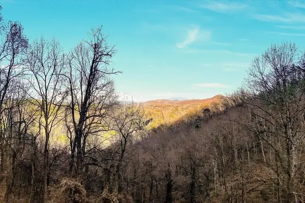 67 Balsam Slopes Road, Sevierville, TN 37862