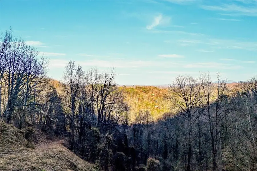 67 Balsam Slopes Road, Sevierville, TN 37862 - #3