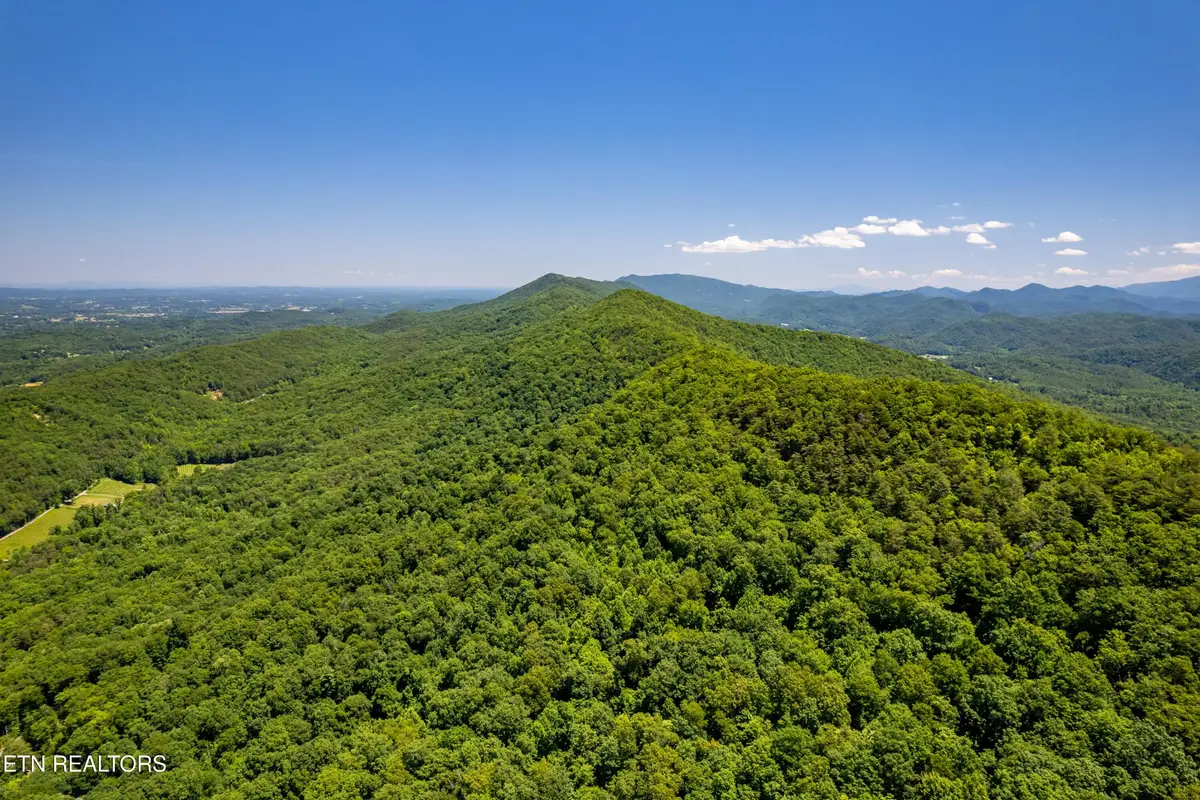 0 Butterfly Gap Rd, Maryville, TN 37803 - #1