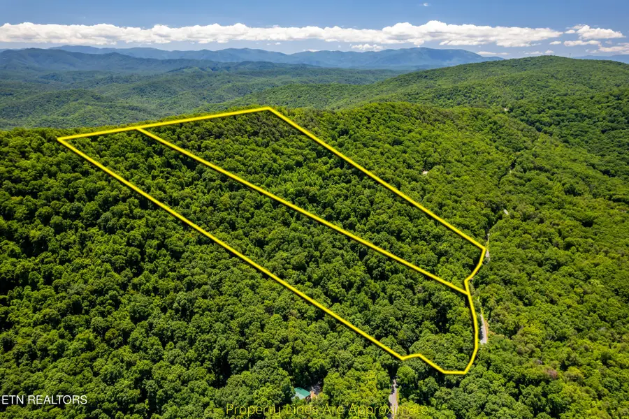 0 Butterfly Gap Rd, Maryville, TN 37803 - #3
