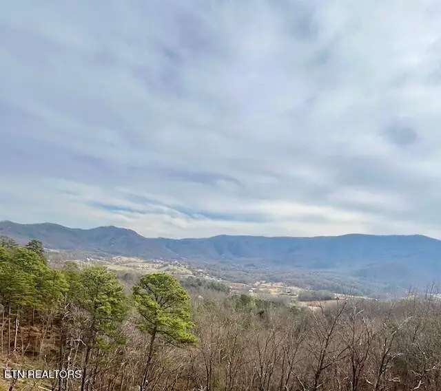 2861 Indigo Lane, Sevierville, TN 37862 - #2