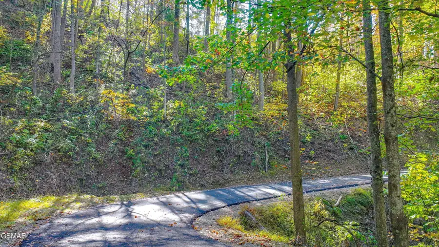 6 Emerald Springs Loop, Sevierville, TN 37862 - #3
