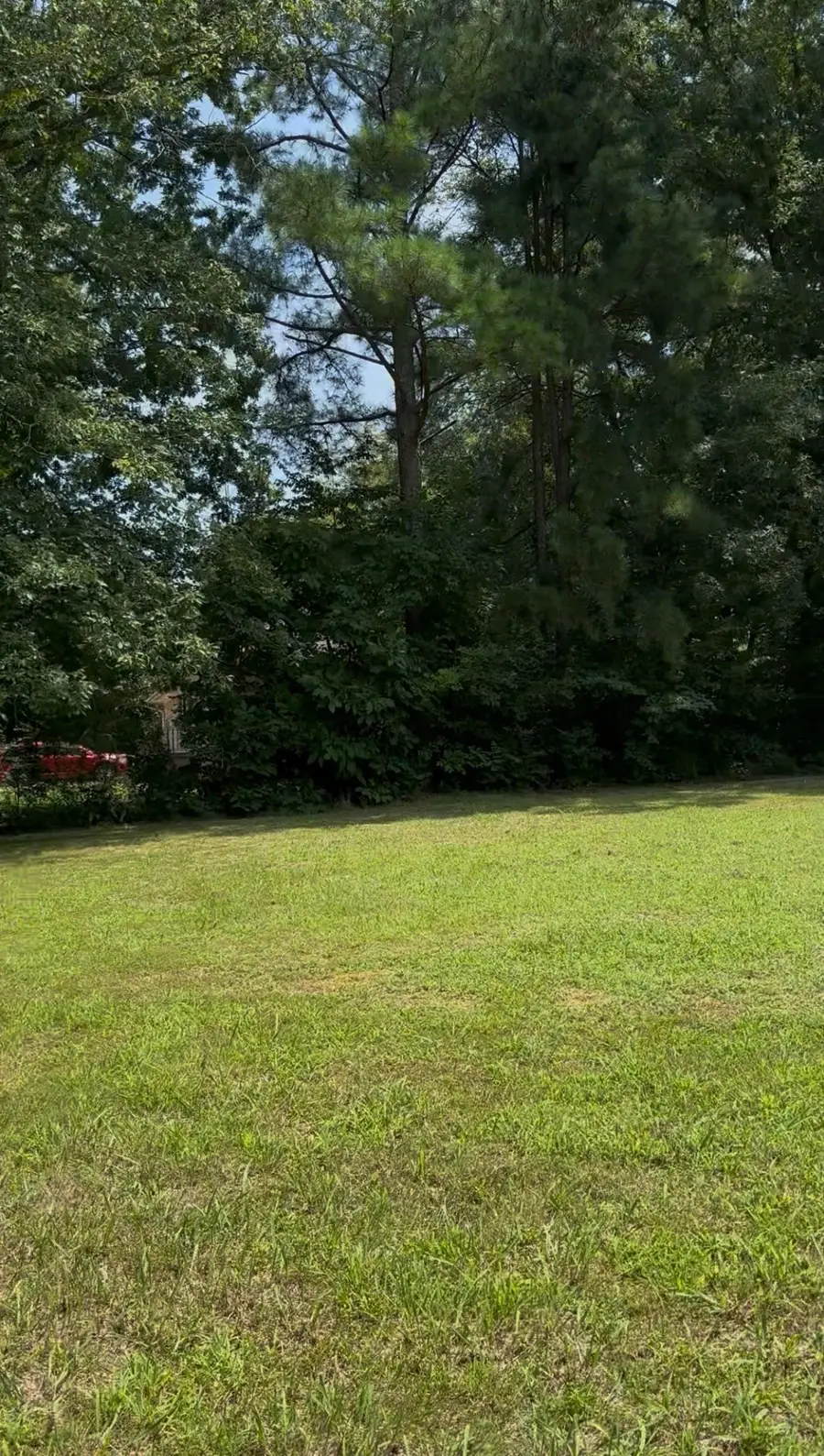 1369 Saint Anne St, Lewisburg, TN 37091 - #3