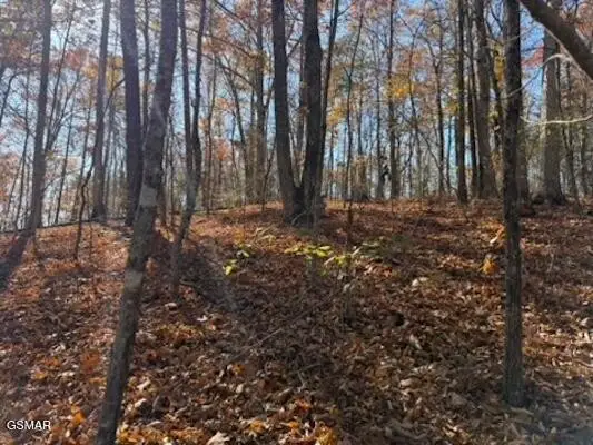 0 053 050.00 Obes Branch Road, Sevierville, TN 37876 - #2