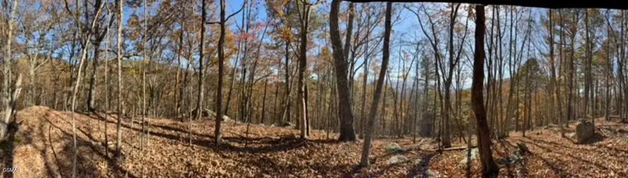 0 053 050.00 Obes Branch Road, Sevierville, TN 37876 - #3