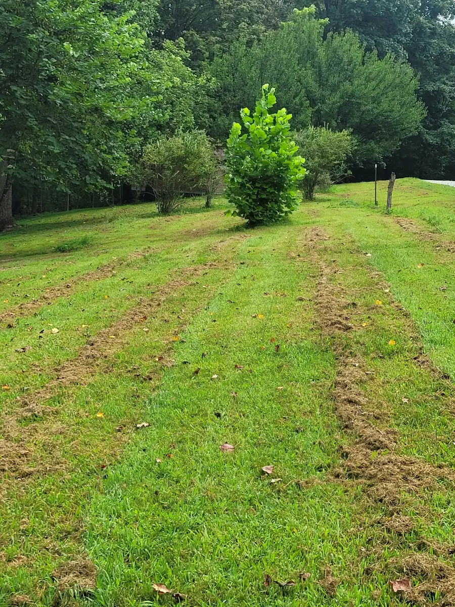465 Sunset Ridge Ln, Hilham, TN 38568 - #3
