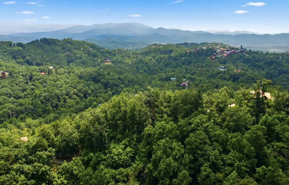 0 Patterson Lead Rd, Sevierville, TN 37876 - #1