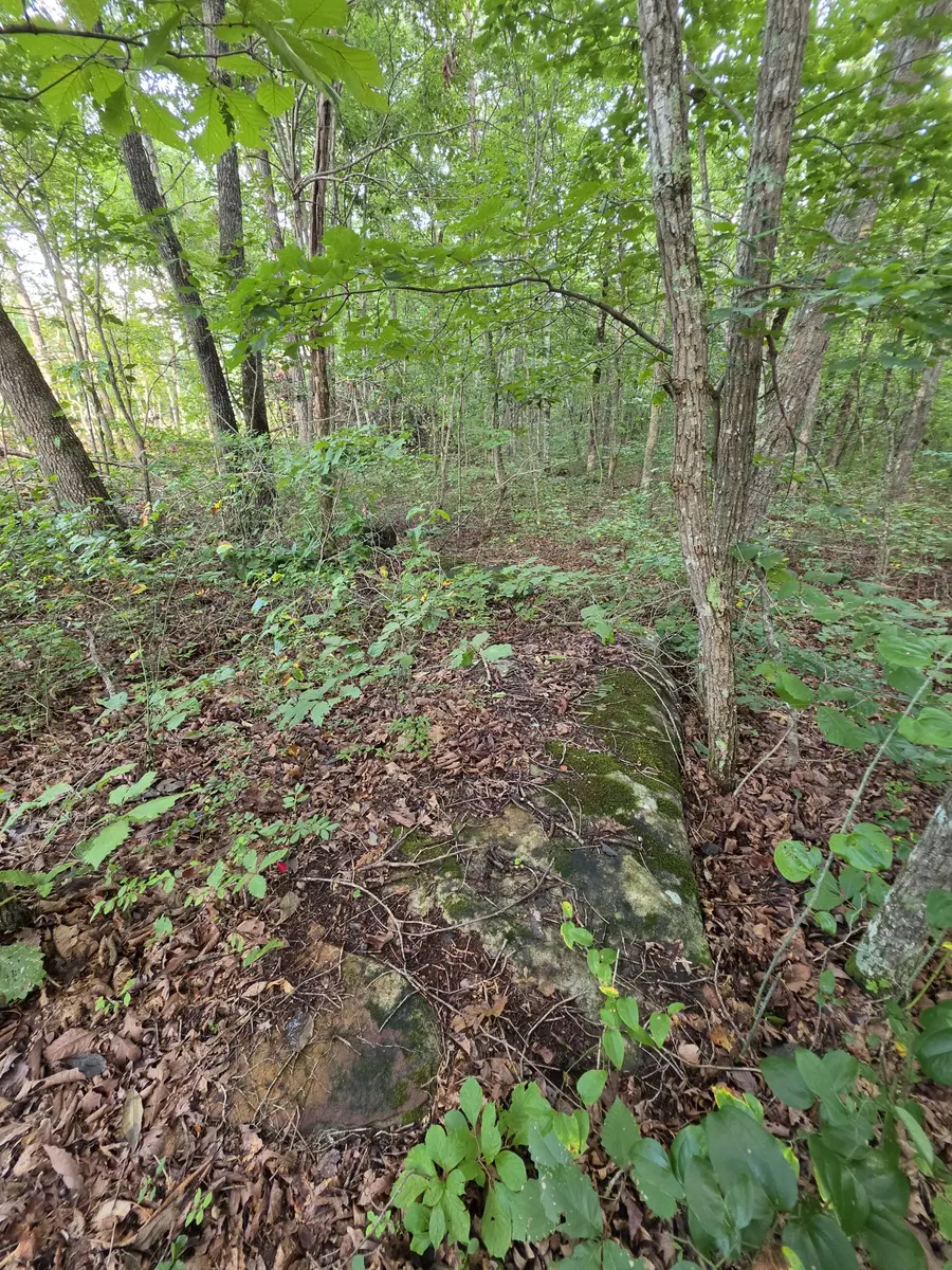 18 Meyers Road, Altamont, TN 37301 - #3
