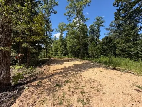 0 Center Point Rd S, Reagan, TN 38368 - #2