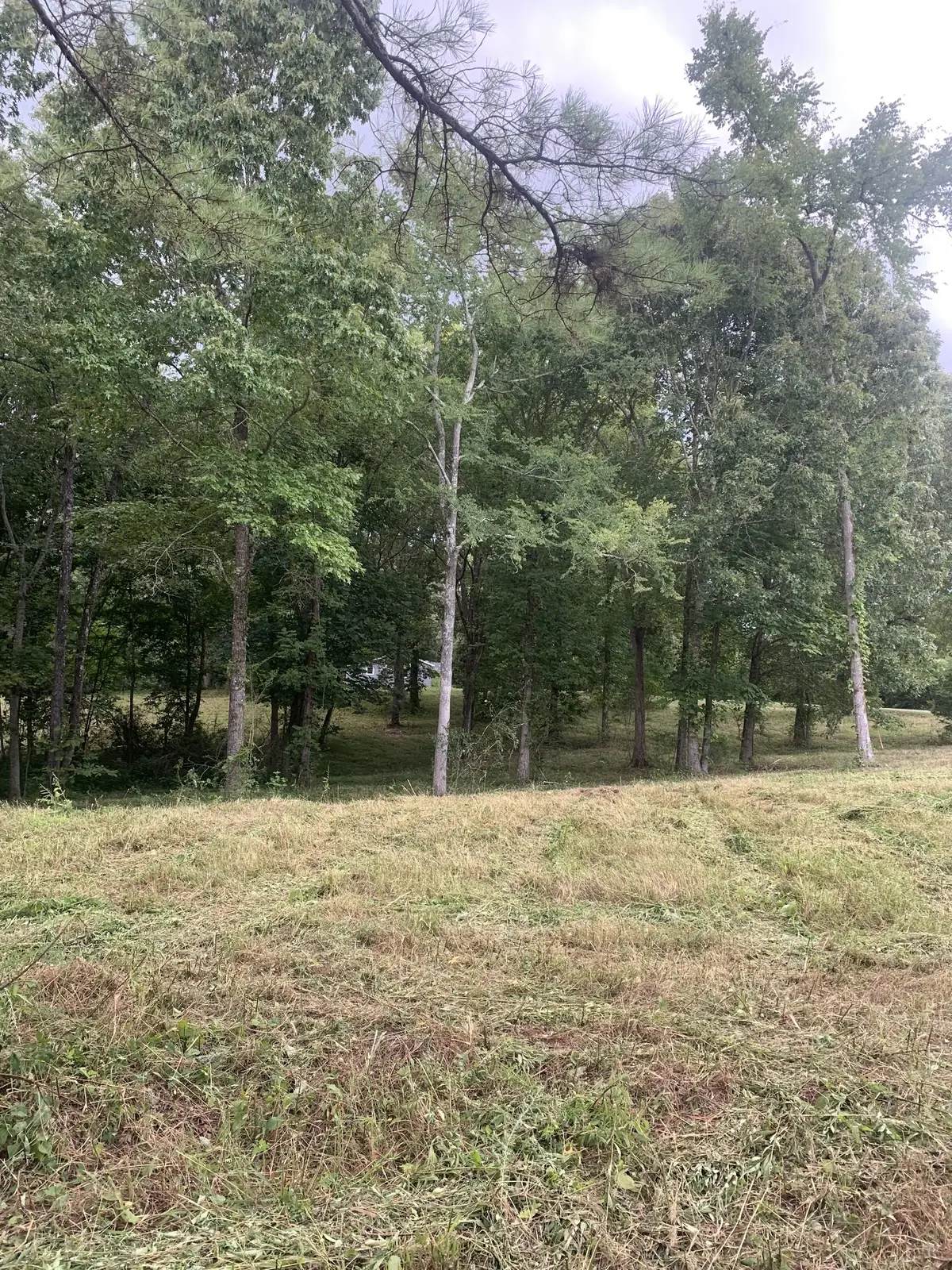 5 Grice Rd, Sardis, TN 38371 - #1