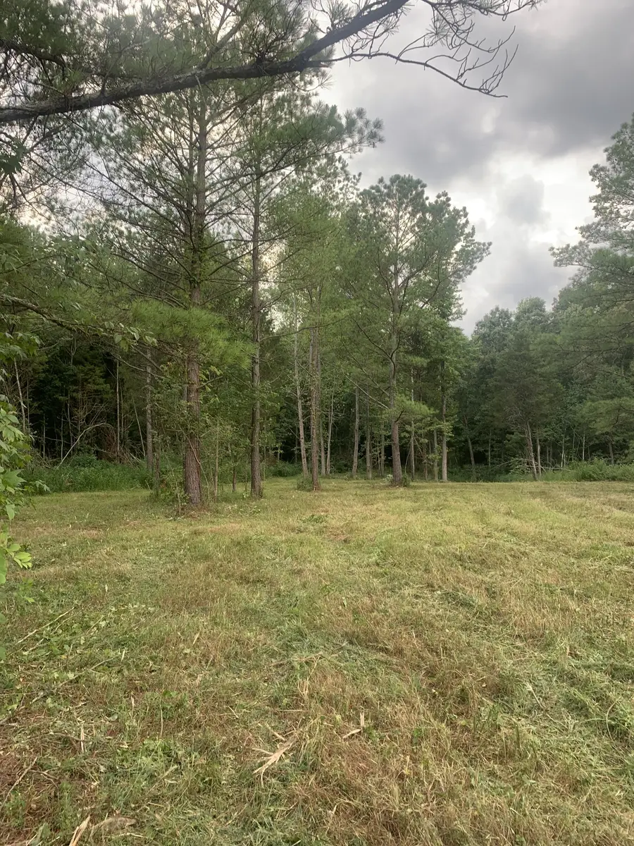 5 Grice Rd, Sardis, TN 38371 - #2