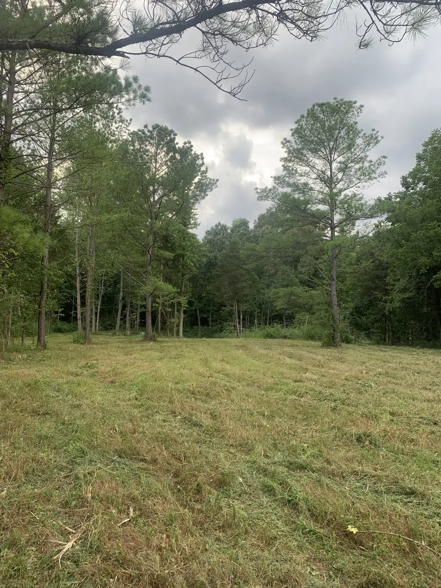 5 Grice Rd, Sardis, TN 38371 - #3