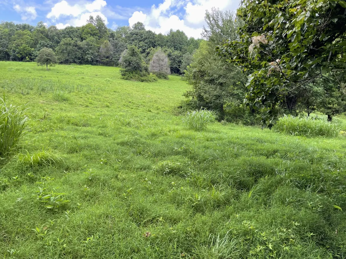 6461 Hwy 48 N, Cumberland Furnace, TN 37051 - #1