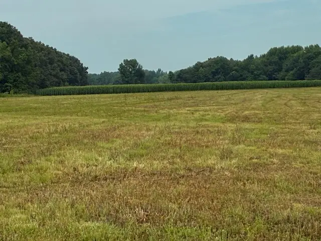 0 Rushing Road, Ethridge, TN 38456 - #2