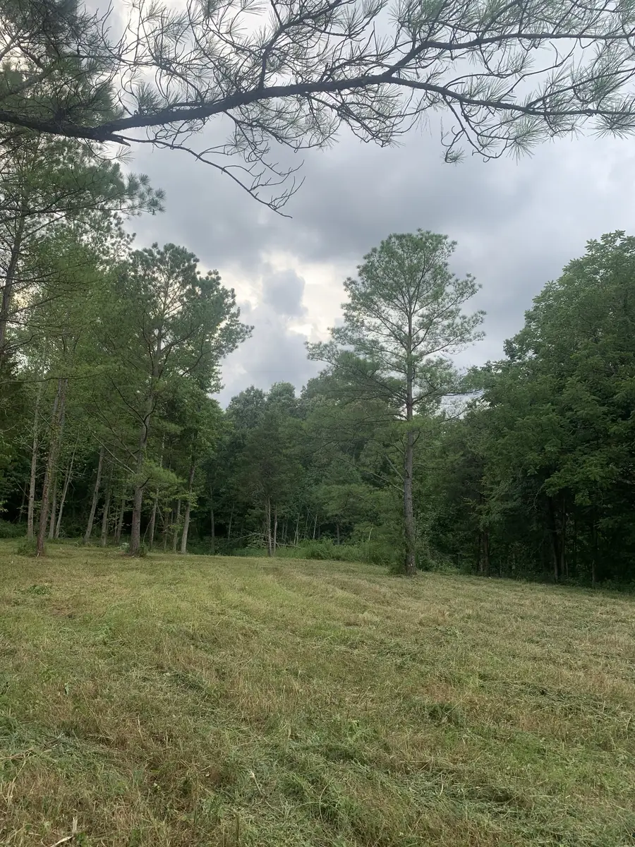 3 Grice Rd, Sardis, TN 38371 - #3