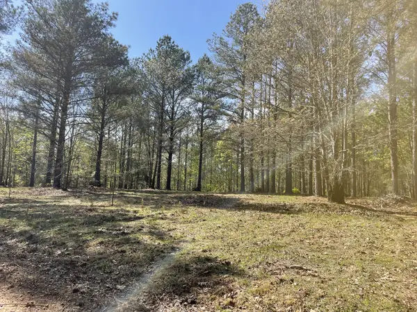 1001 Bj Rd, Centerville, TN 37033
