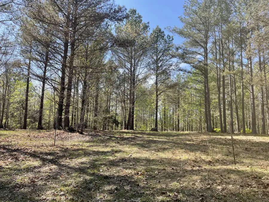 1001 Bj Rd, Centerville, TN 37033 - #3