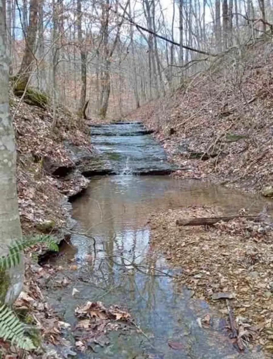 1170 Ella Dr, Ashland City, TN 37015 - #3