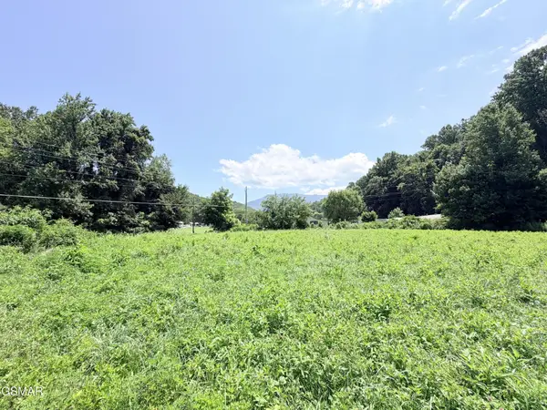 197 Tennessee 32, Cosby, TN 37722