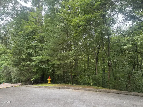 14 Cabin Creek Way, Sevierville, TN 37862