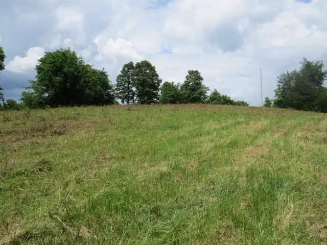 0 Hardy Rd, Pulaski, TN 38478 - #1