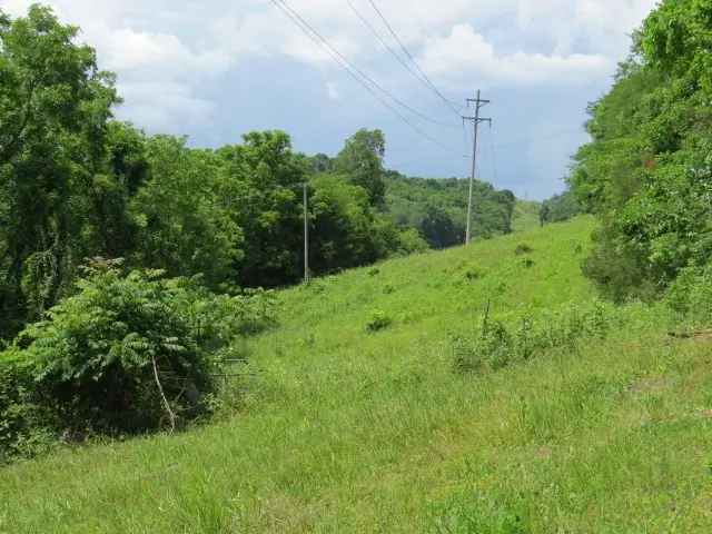 0 Hardy Rd, Pulaski, TN 38478 - #3