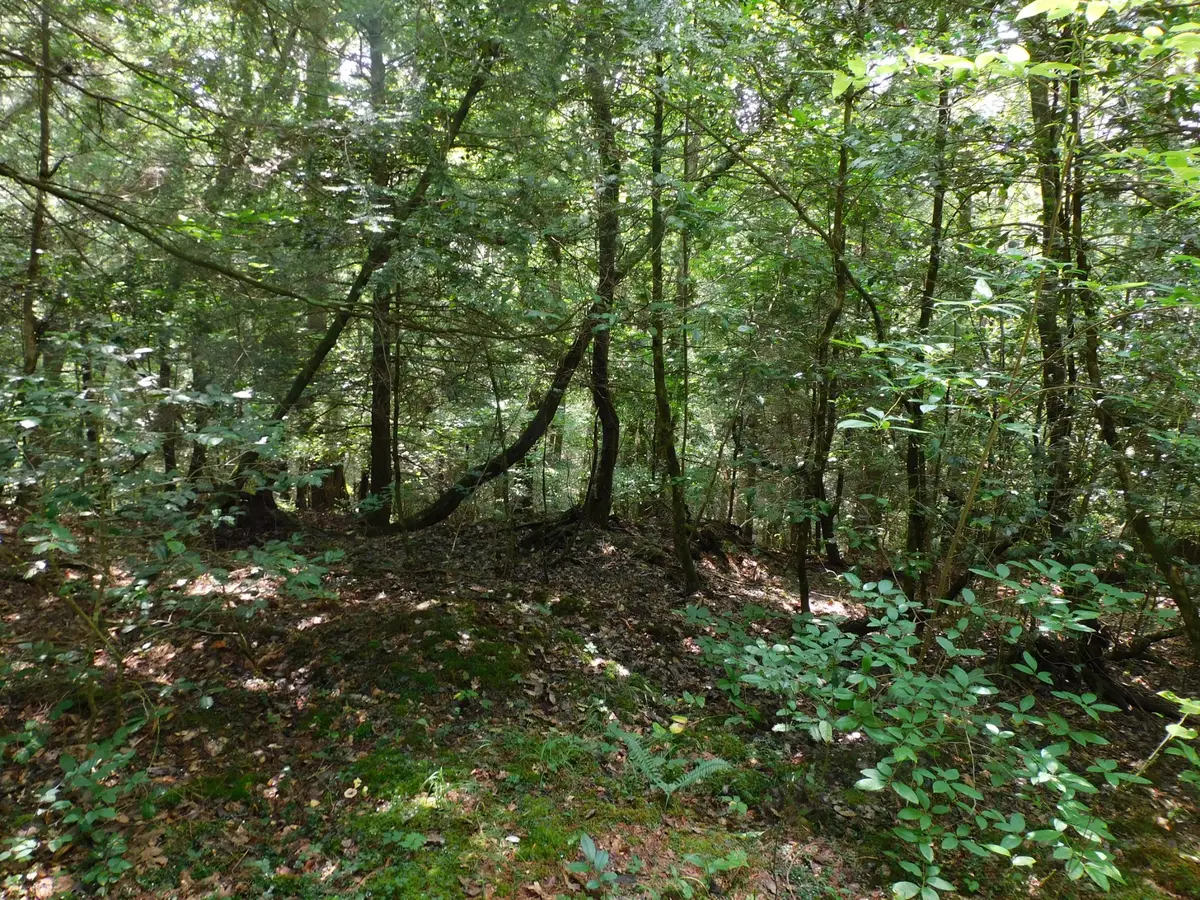0 Old Highway 56, Coalmont, TN 37313 - #1