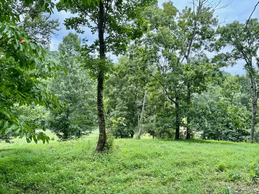 564 Dry Branch Road, Dixon Springs, TN 37057 - #3