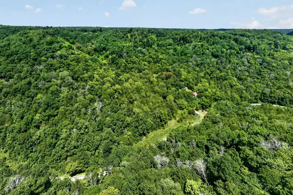 2949 Wilmouth Creek Rd, Liberty, TN 37095