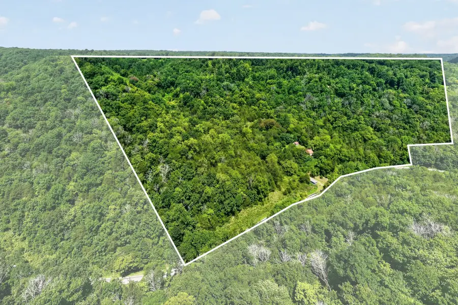 2949 Wilmouth Creek Rd, Liberty, TN 37095 - #2