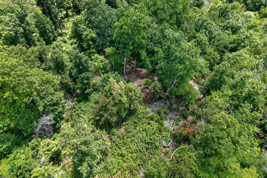 0 Wilmouth Creek Rd, Liberty, TN 37095 - #3