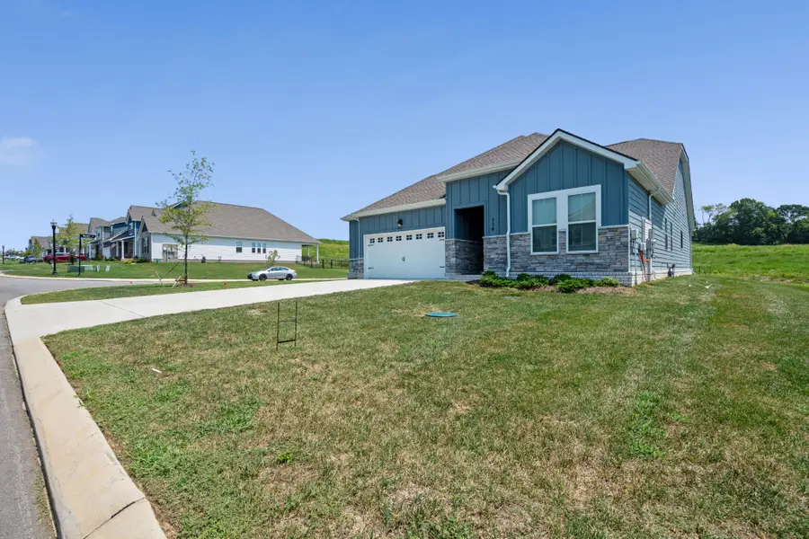 114 Emeline Way, Mount Juliet, TN 37122 - #2