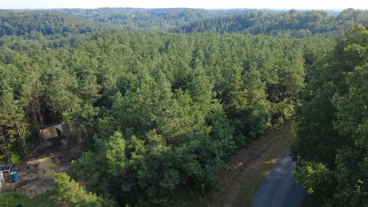1 Rockhouse Rd, Linden, TN 37096 - #1