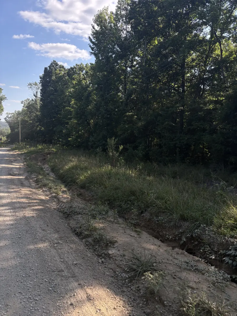 0 Holloway Ridge Road, Spring City, TN 37381 - #3