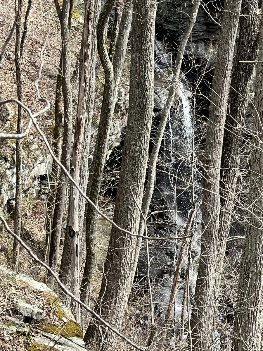 4441 Deer Run Road, Altamont, TN 37301 - #3