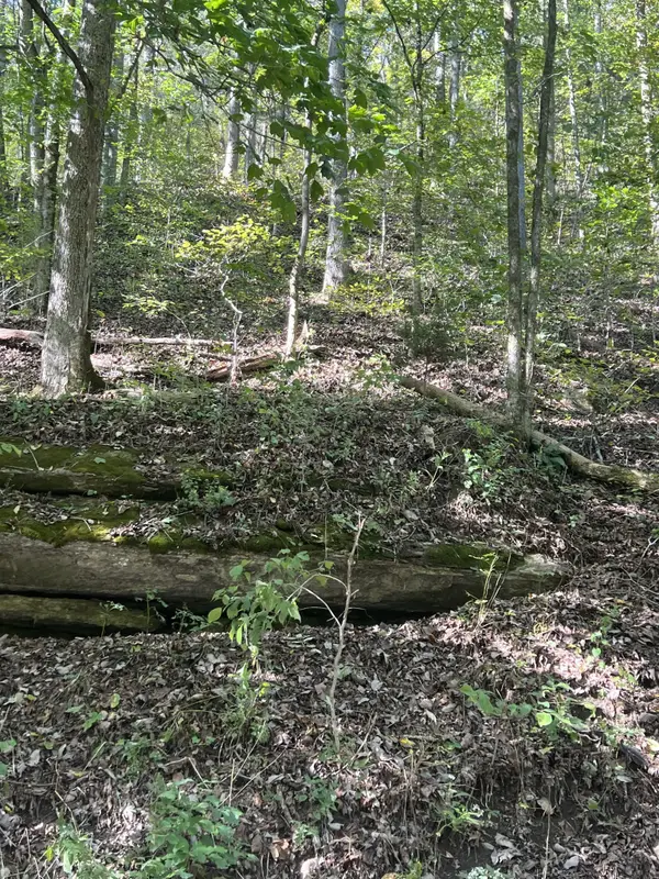 0 Neeley Creek Rd, Celina, TN 38551