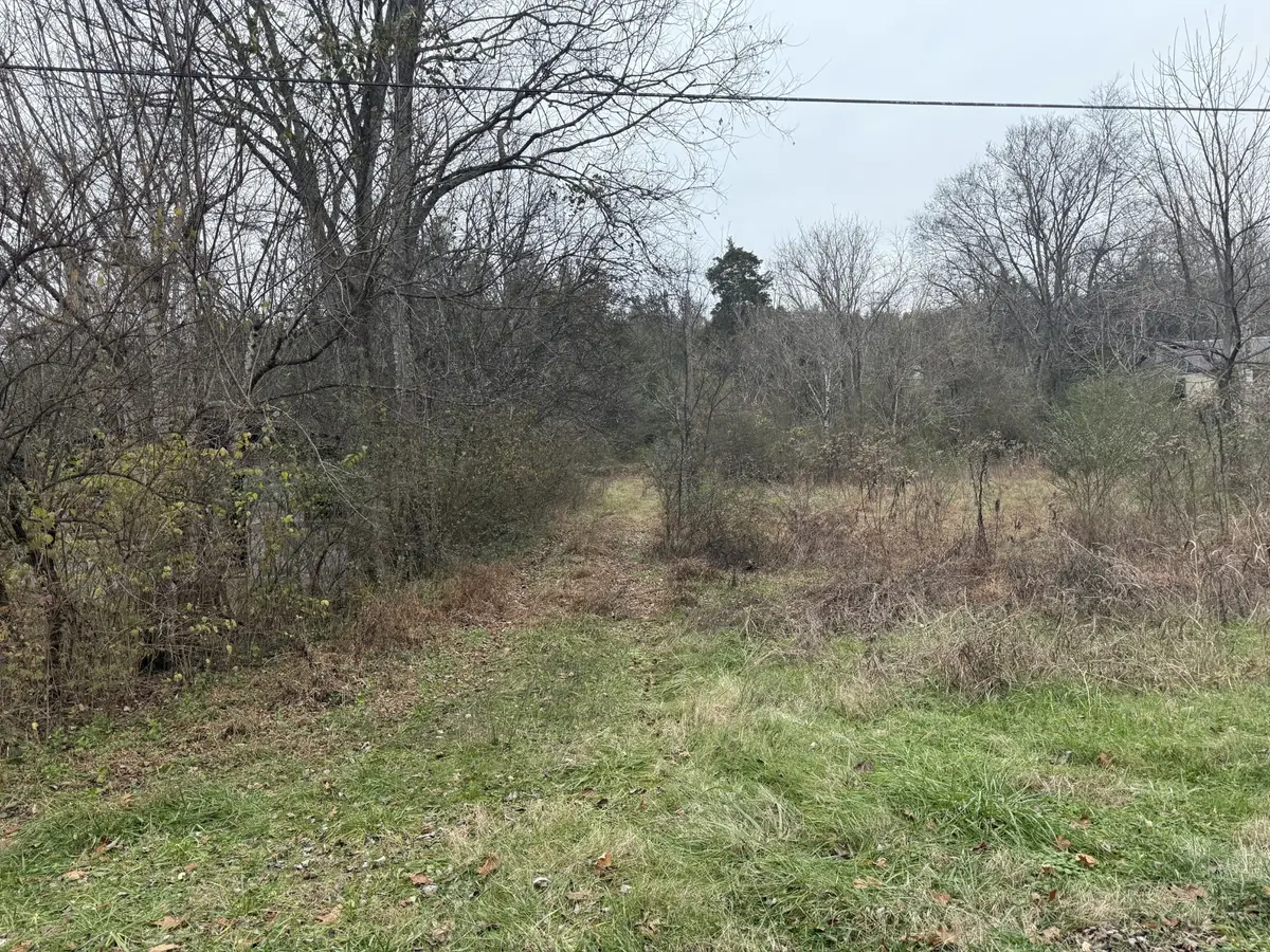 0 Lewis Rd, Santa Fe, TN 38482 - #1