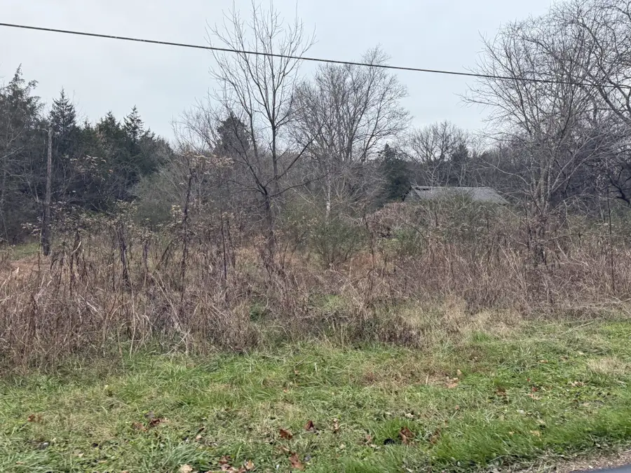 0 Lewis Rd, Santa Fe, TN 38482 - #2