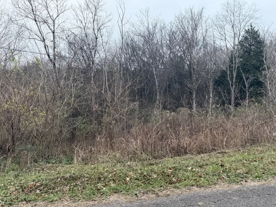 0 Lewis Rd, Santa Fe, TN 38482 - #3