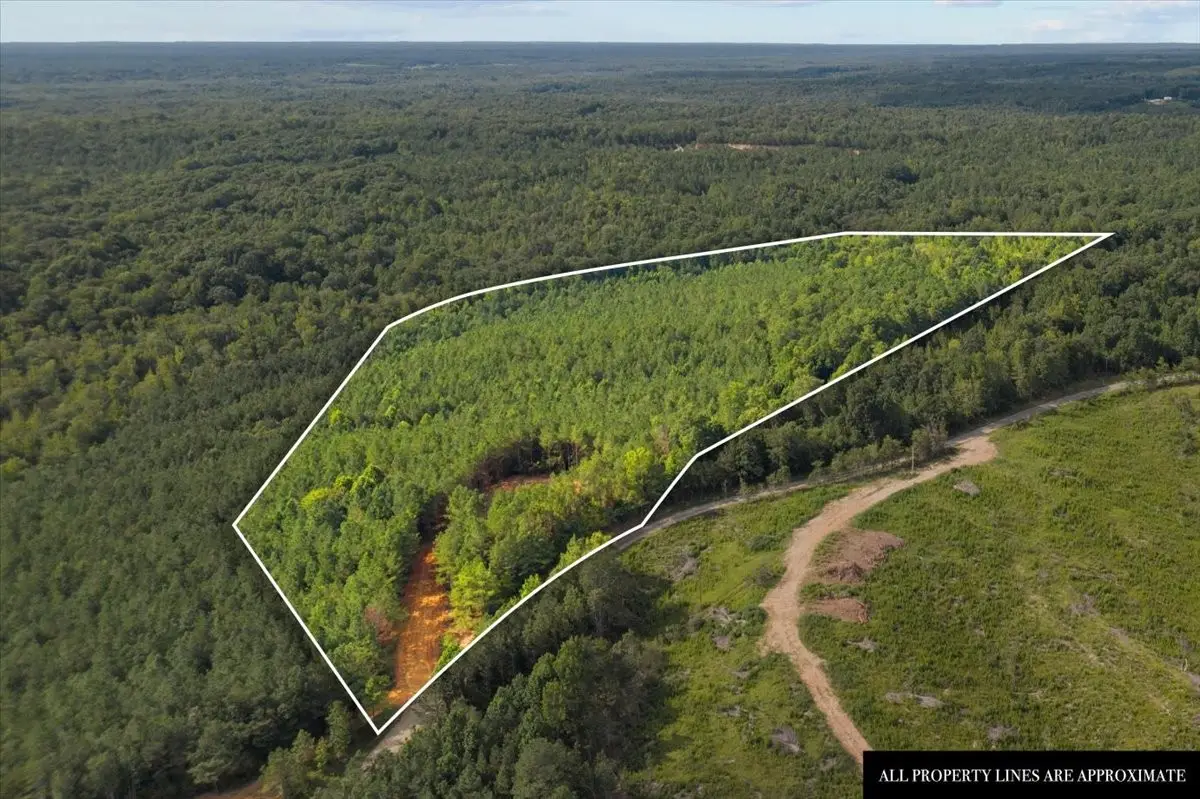 0 Eden Farm Rd, Camden, TN 38320 - #1